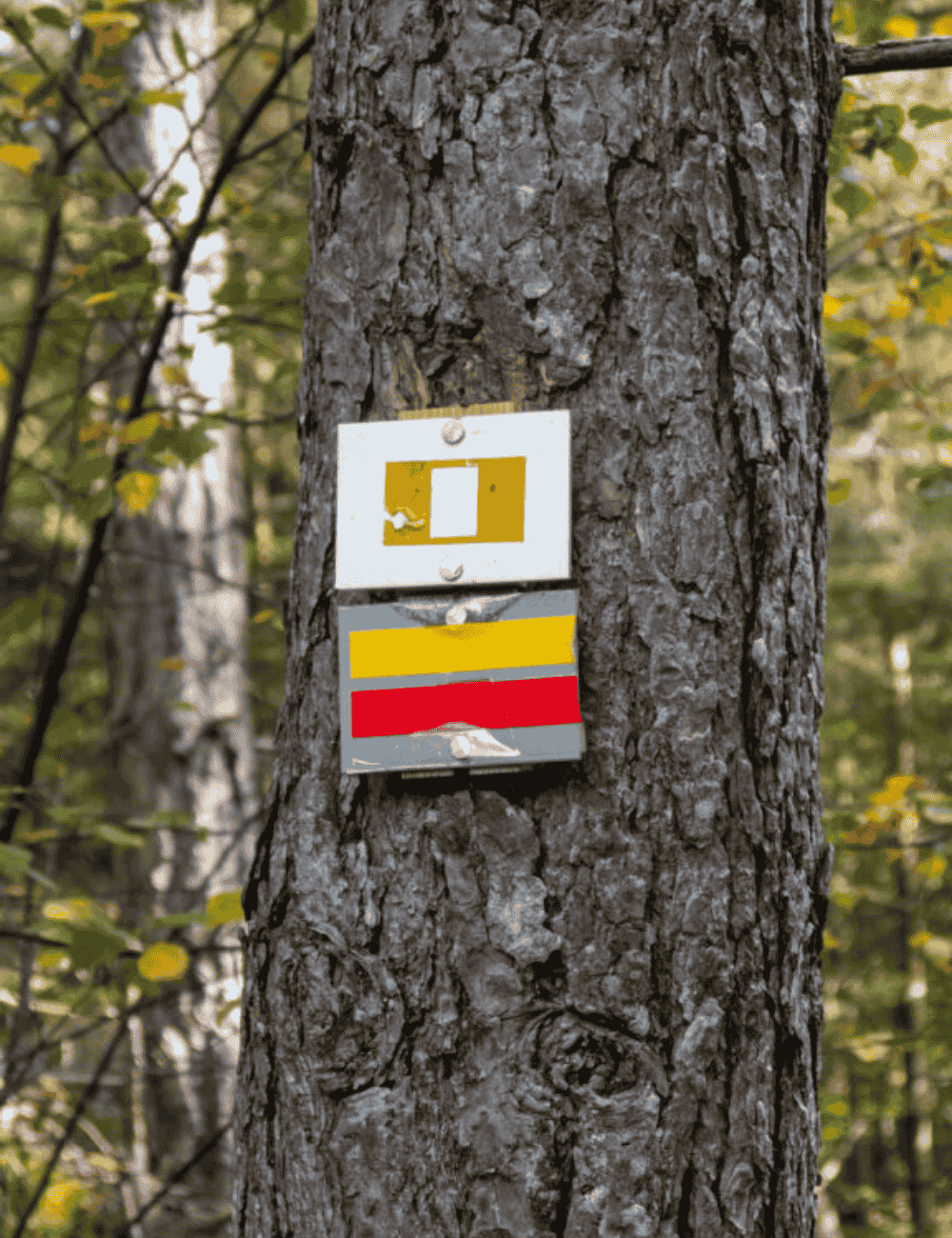 Balisage de randonnée dans les Vosges