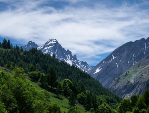comment reconnaître les sommets en montagne